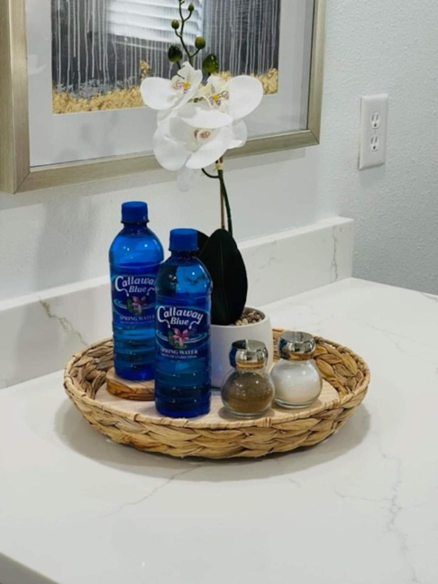 Walk Everywhere! 1-Bedroom Gem In Downtown Hub New Port Richey Exterior photo